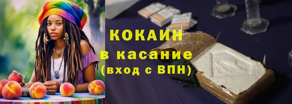 амф Бородино