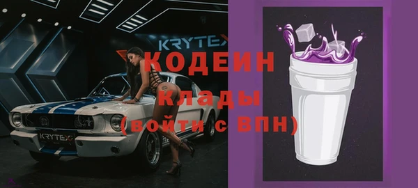 амф Бородино
