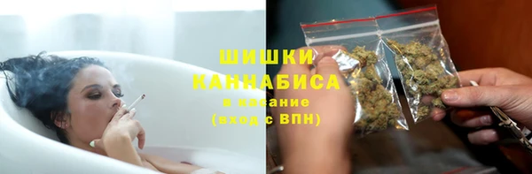 амф Бородино