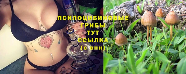 амф Бородино