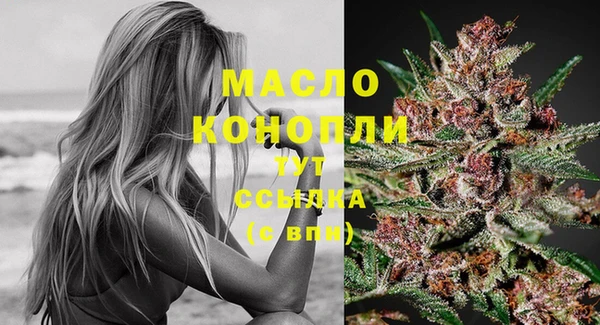 амф Бородино