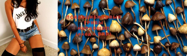 не бодяженный Бронницы