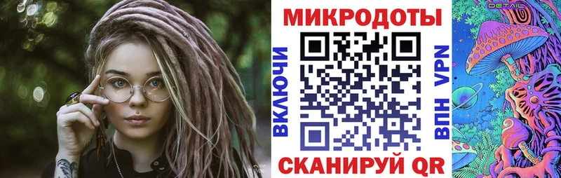 Купить  Короча  Галлюциногенные грибы Psilocybe 