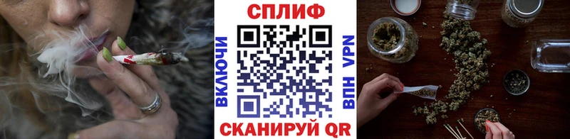 Шишки марихуана план  Купить где  Короча 